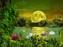 spring moon nature