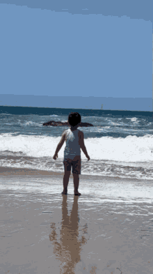 Varunishnanda Baby Beach GIF