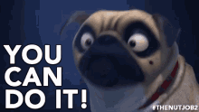You Can Do It! GIF - You Can Do It Dog Tell GIFs