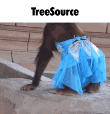Tree Source Stands Online GIF - Tree Source Stands Online GIFs
