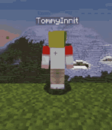 Tommyinnit Tommy Origins GIF - Tommyinnit Tommy Origins GIFs
