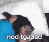 a monkey is sleeping on a blue pillow with the words nod tga3ad written on the bottom