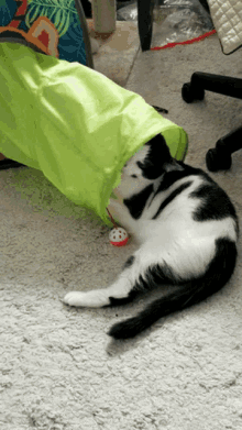a black and white cat playing with a toy in a green tunnel