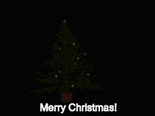 Gorb Merry Christmas GIF - Gorb Merry Christmas Christmas GIFs