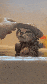 Water Cat Cute Cat GIF - Water Cat Cute Cat Cat With Duck GIFs