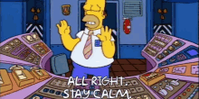 Calm Simpsons GIF - Calm Simpsons Stay Calm GIFs