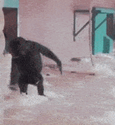 a man is standing in a flooded room with his arms outstretched in the water .