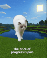 a picture of a cat with the words " the price of progress is pain " above it