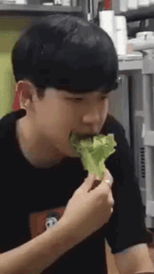 kim jaehwan eat chew lettuce produce101