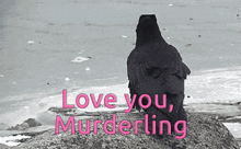 a black bird is sitting on a rock with the words love you murderling written below it