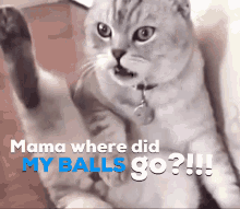myballs where did my balls go mama mama my balls balls