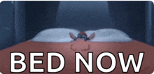 a cartoon character laying on a bed with the words bed now below him
