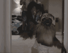 Three Awesome Things Combined Baby Monkey GIF - Three Awesome Things Combined Baby Monkey Diapers GIFs