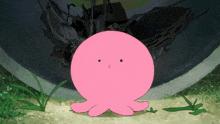 a pink octopus with a surprised look on its face stands in the grass