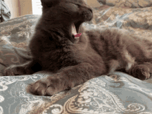 Sleepy Cat GIF - Sleepy Cat Yawning GIFs