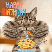 a cat is holding a birthday cupcake with a candle in it 's mouth .