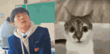 a man with glasses and a cat with big eyes