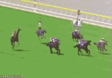 Yes Funny GIF - Yes Funny Race GIFs