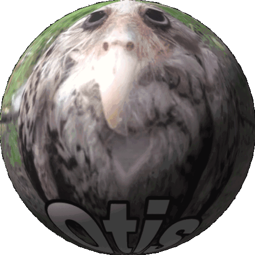 Otis Otis Owl Sticker - Otis Otis Owl Orb Stickers