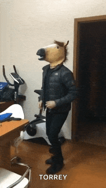 a man wearing a horse mask is standing in front of an exercise bike with the word torrey below him