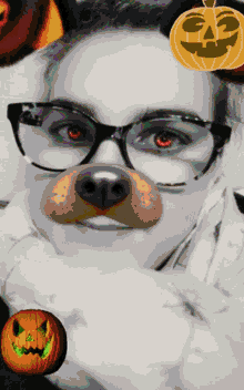Selfie Filter GIF - Selfie Filter Dog Filter GIFs
