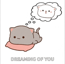 a cat is laying on a pillow and dreaming of a white cat .