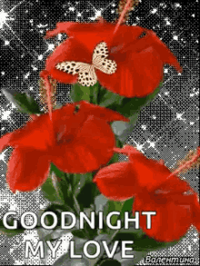 Good Night Sparkles GIF - Good Night Sparkles Love GIFs