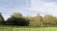 a soccer goal is in the middle of a grassy field