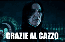 Grazie Al Cazzo Ovviamente Ovvio Evidentemente Severus Piton Harry Potter Hogwarts Infatti GIF - You Dont Say Severus Snape Meme Obviously GIFs