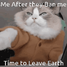 Mineberry Ban GIF - Mineberry Ban Earth GIFs
