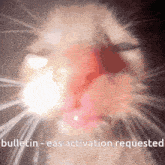 a close up of a cat 's face with the words bulletin eas activation requested