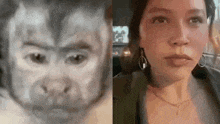 a monkey and a woman are looking at each other in a car .