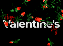 Happy Valentines Day Gif GIF - Happy Valentines Day Gif Alisa GIFs