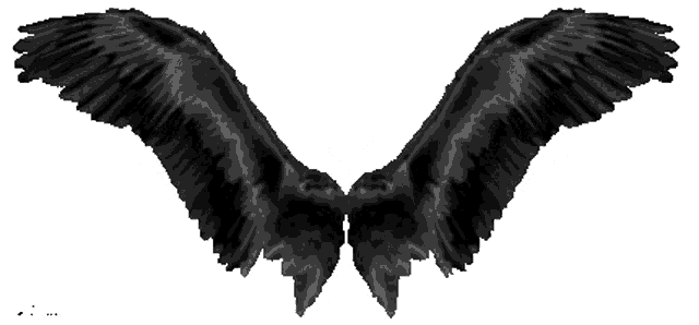 Wings Black Wings Sticker - Wings Black Wings Fly - Discover & Share GIFs