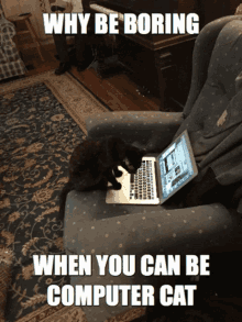 Why Be Boring Computer Cat GIF - Why Be Boring Computer Cat Cool GIFs