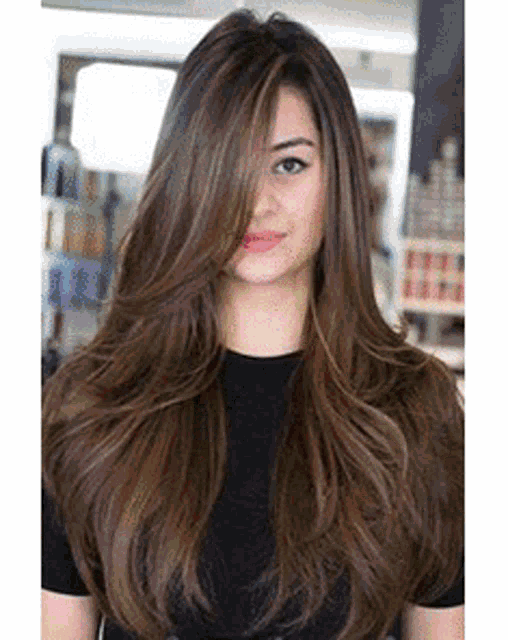 Longhair Beautiful GIFs | Tenor Longhair Beautiful GIFs | Tenor