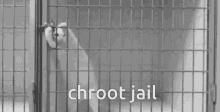 Cat Jail GIF - Cat Jail Chroot GIFs