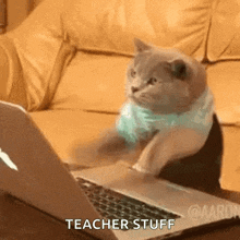 Cat Typing Typing GIF - Cat Typing Typing GIFs