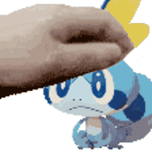 sobble pokemon petting cute squishy