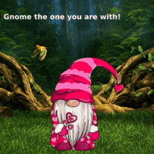 Gnome Memes Cute Gnoes GIF
