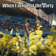 Party Arrival Party Time GIF - Party Arrival Party Time Time To Party GIFs