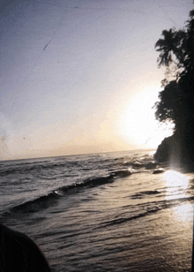 a sunset over a beach with a palm tree in the background