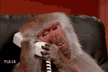 monkey phone call bored anyways awkward