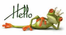 Hallo Frog GIF