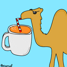 Camelt Cameltea GIF - Camelt Camel Cameltea GIFs