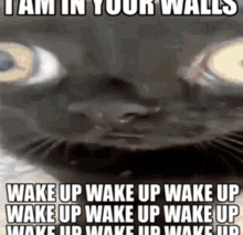 I Am In Your Walls Run GIF - I Am In Your Walls Run Wake Up Wake Up GIFs