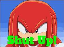Sonic X Knuckles GIF - Sonic X Knuckles Shut Up GIFs