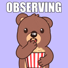 a cartoon of a bear eating popcorn with the word observing below it