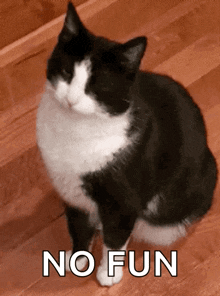 a black and white cat is sitting on a wooden floor with the words " no fun " above it