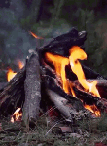 Fire Flame GIF - Fire Flame Camping GIFs